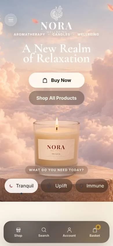 The Nora homepage on a phone, with stacked buttons and a bottom navigation bar